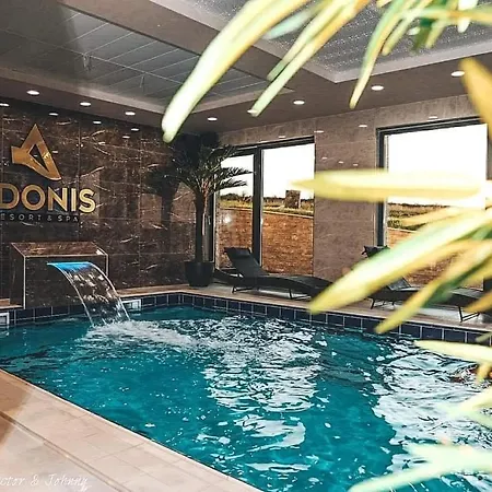 Hills Afrodita Moon *